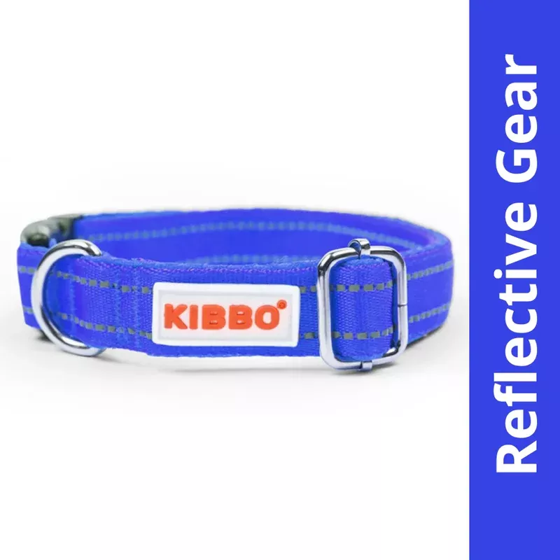 Kibbo Premium Reflective Padded With Soft Mesh Padding & Adjustable Design Collar for Dogs (Blue)