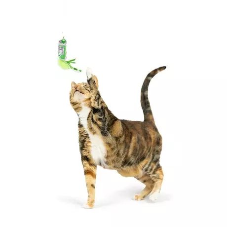 Kitty Klaw Lime Teasers 2pk Cat Wand Refil