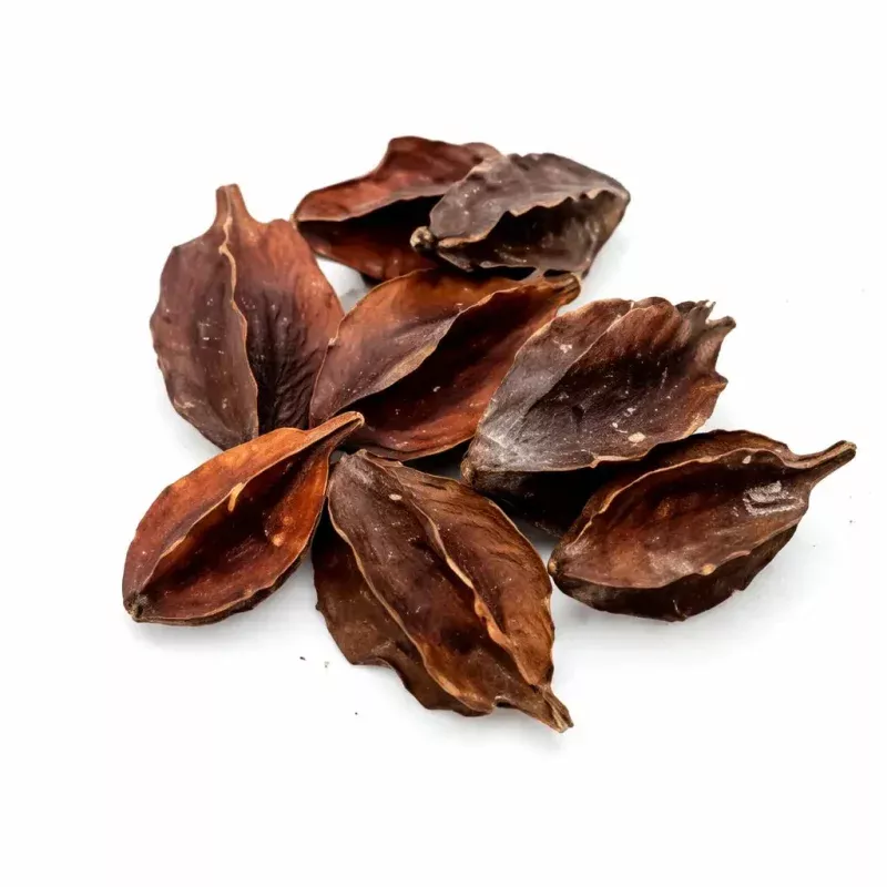Kumbuk Pods (PACK OF 6)