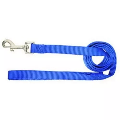Leash Double Thick 1" 6Ft Blue Dl 1 Each by Hamilton