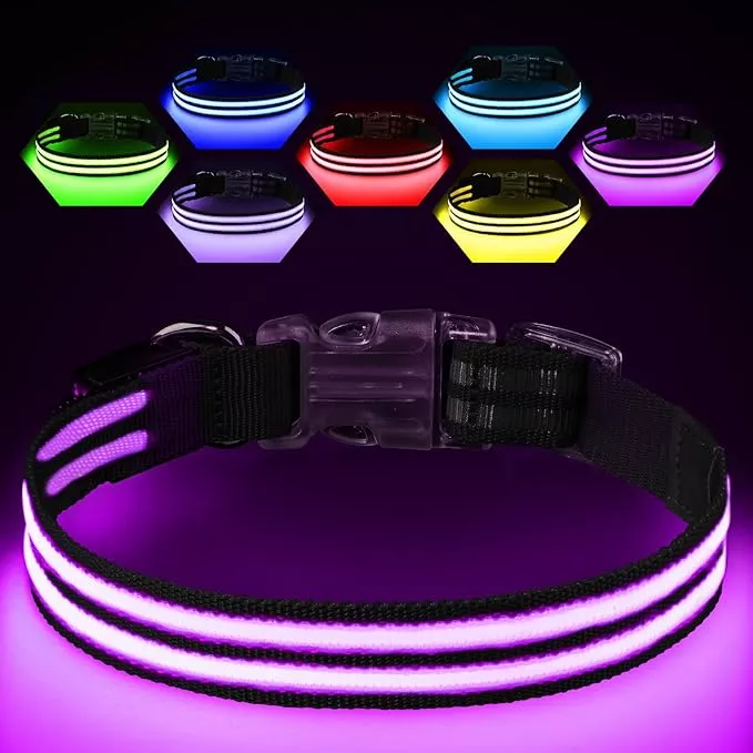 Light Up Dog Collar Rechargable,Reflective LED Collars for Small Medium Large Dogs,Lighted Dog Collars Lights for Night Walking-Waterproof,Black,S