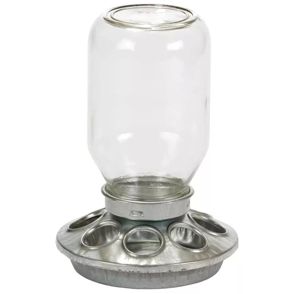 Little Giant Chick Feeder & Drinker Jar with Base – 1 Quart