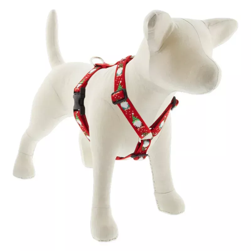 Lupine MicroBatch Roman Dog Harness 1″ Wide 24″-38″ Girth Size Gnomes