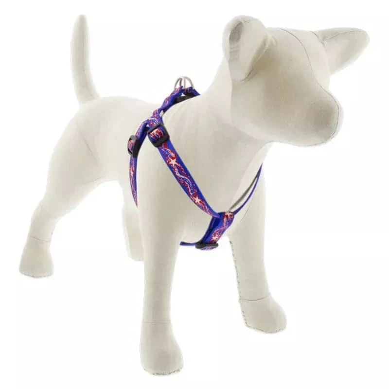 Lupine MicroBatch Step In Dog Harness 3/4″ x 15″-21″ Super Star