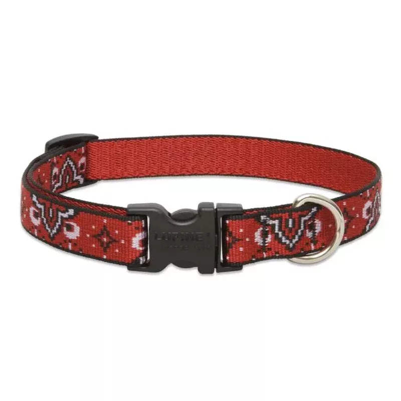 Lupine Pet Dog Collar 3/4″ x 9″-14″ Wild West