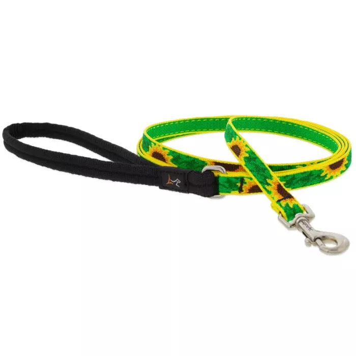 Lupine Pet Dog Leash - 1/2" x 6' - Sunflower
