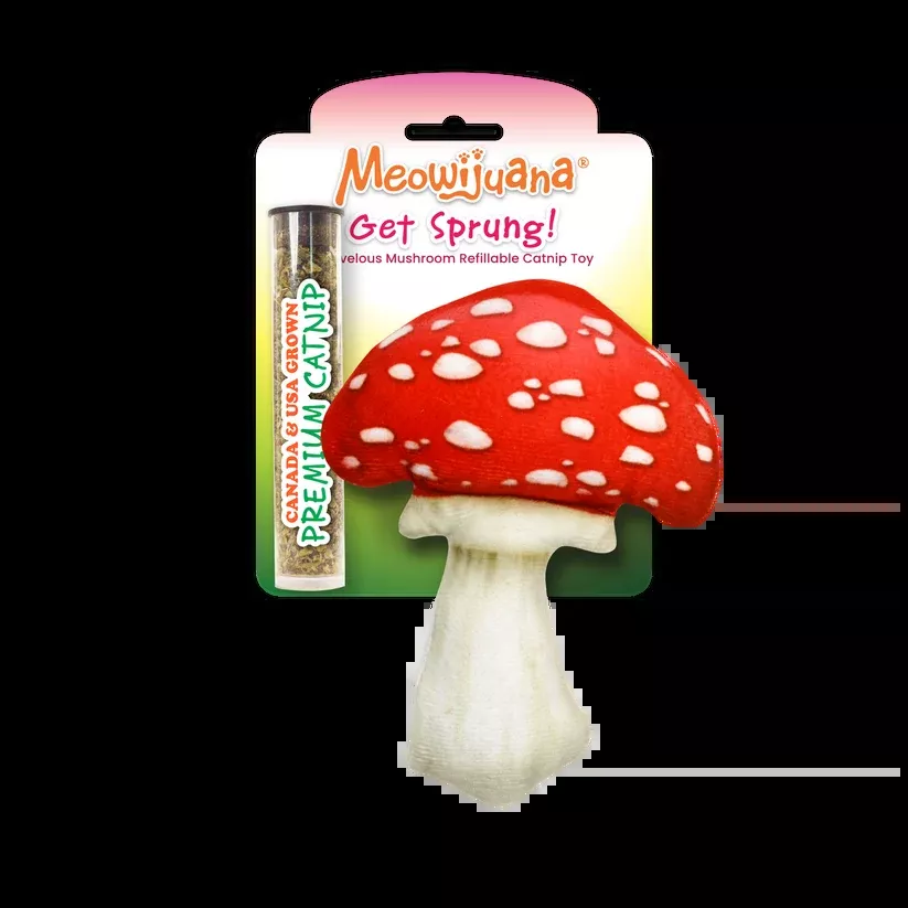 Meowijuana | Get Sprung Refillable Mushroom