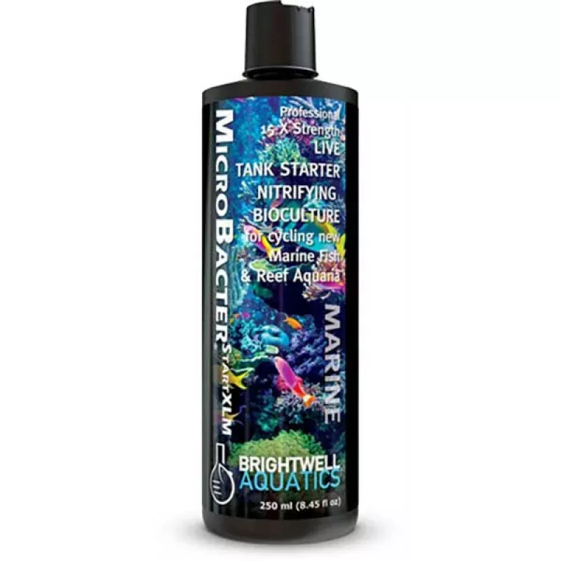 MicroBacter START XLM 15x (250 ML – 8 oz) – Brightwell