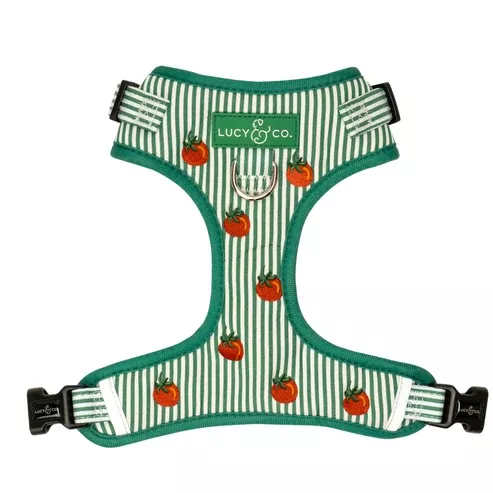 No-Pull Harness – Tomato