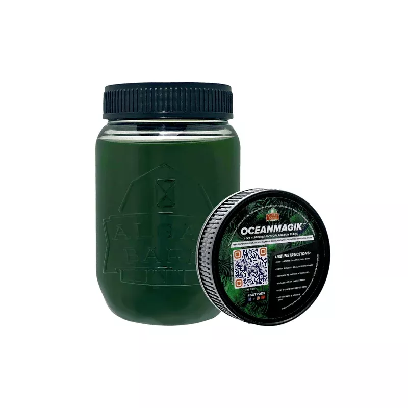 OceanMagik (16 oz) Live Phytoplankton 4 Species Blend – Algae Barn