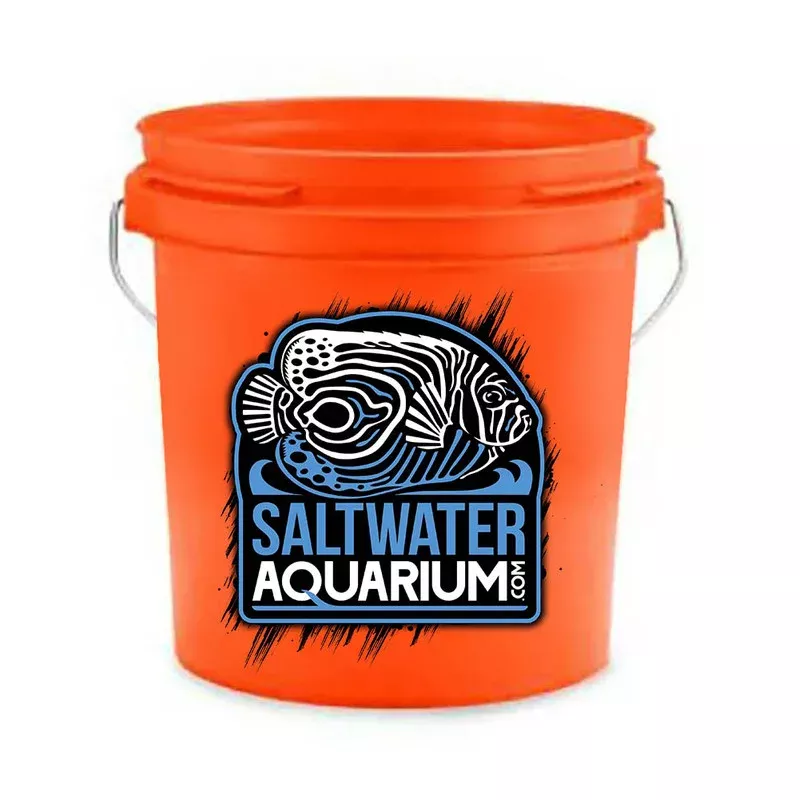 Orange 1 Gallon High-Density Polyethylene Bucket