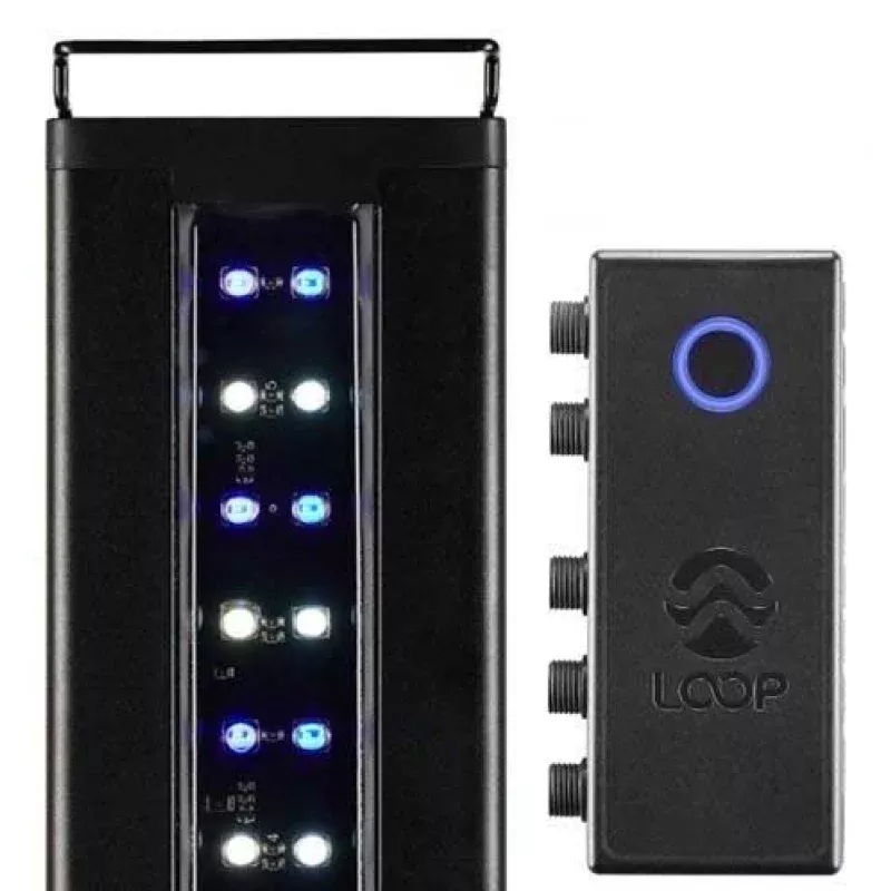 Orbit Marine 18- 24 Bluetooth IC LOOP LED (4204) – Current USA