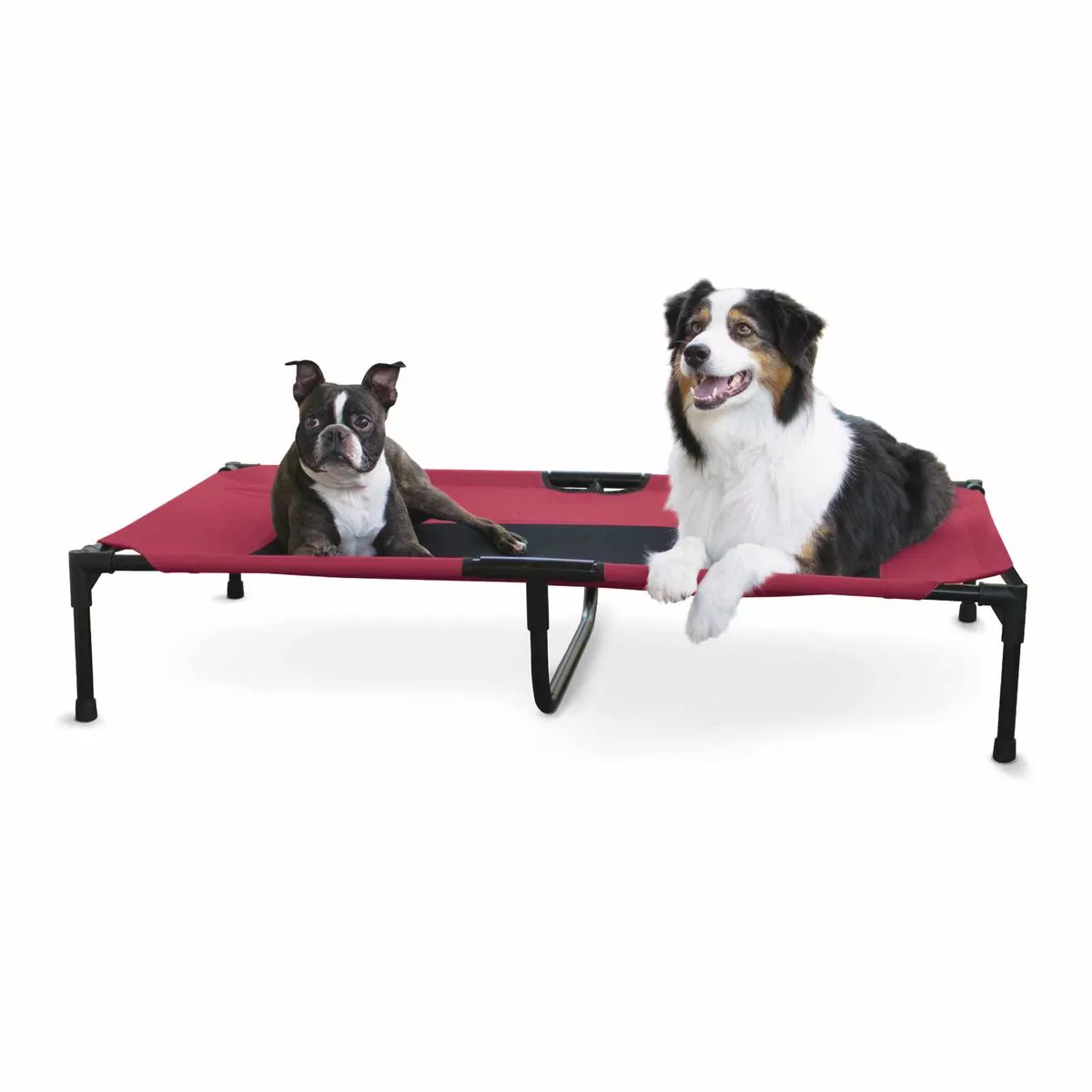 Original Pet Cot Elevated Pet Bed – Extra Large