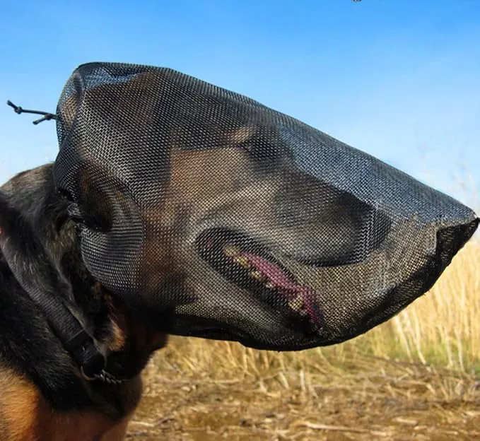 Out Fox Field Guard Size XXS – Vet-Recommended Dog Safety Mask for Foxtails, Grass Seeds, Bugs and Debris | Breathable, Lightweight, Patented Design | Multiple Sizes
