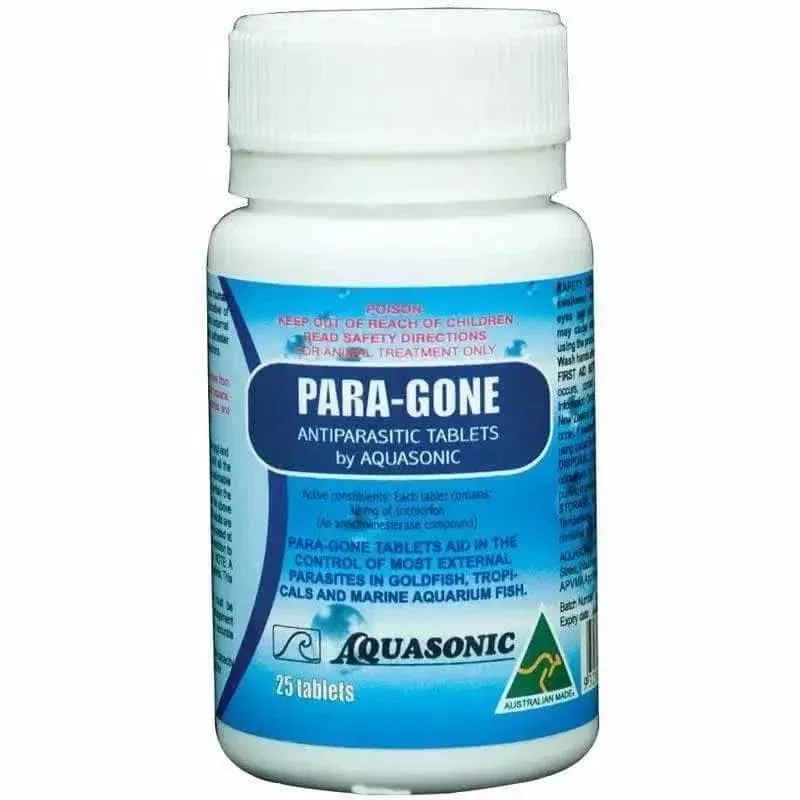 Paragone 25tab