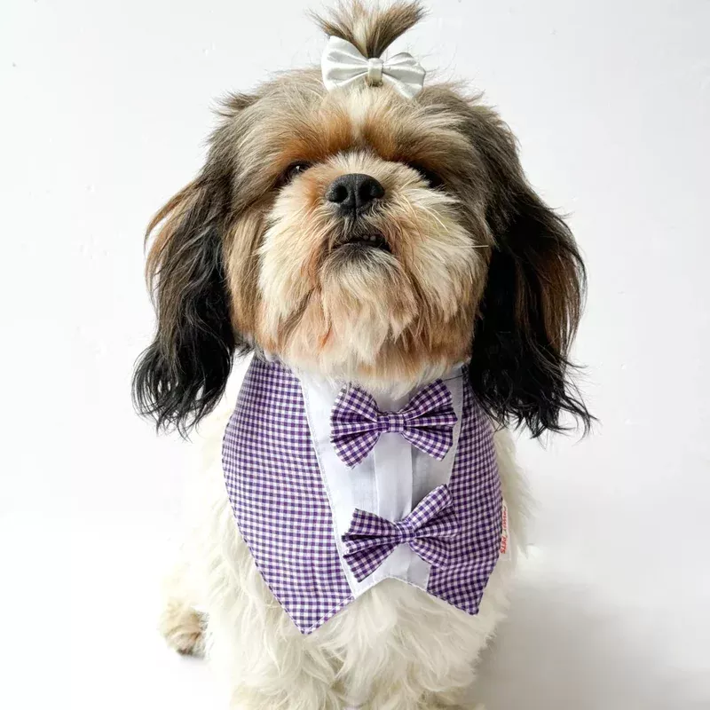 Pawgypets Casual Check Bandana for Dogs and Cats (Purple)