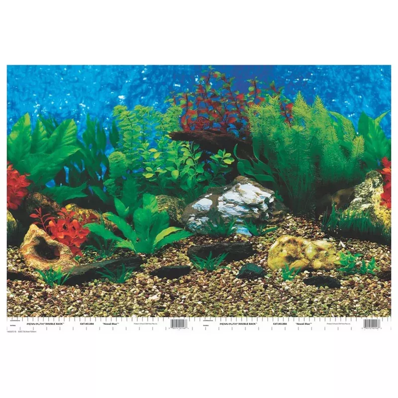 Penn Plax, Penn-Plax Roll-A-Scene Double Sided Background, Multi-Color, 31.75 In X 50 Feet