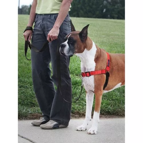 PetSafe, PetSafe Deluxe Easy Walk Steel Dog Harness, Black/Rose,Medium/Large