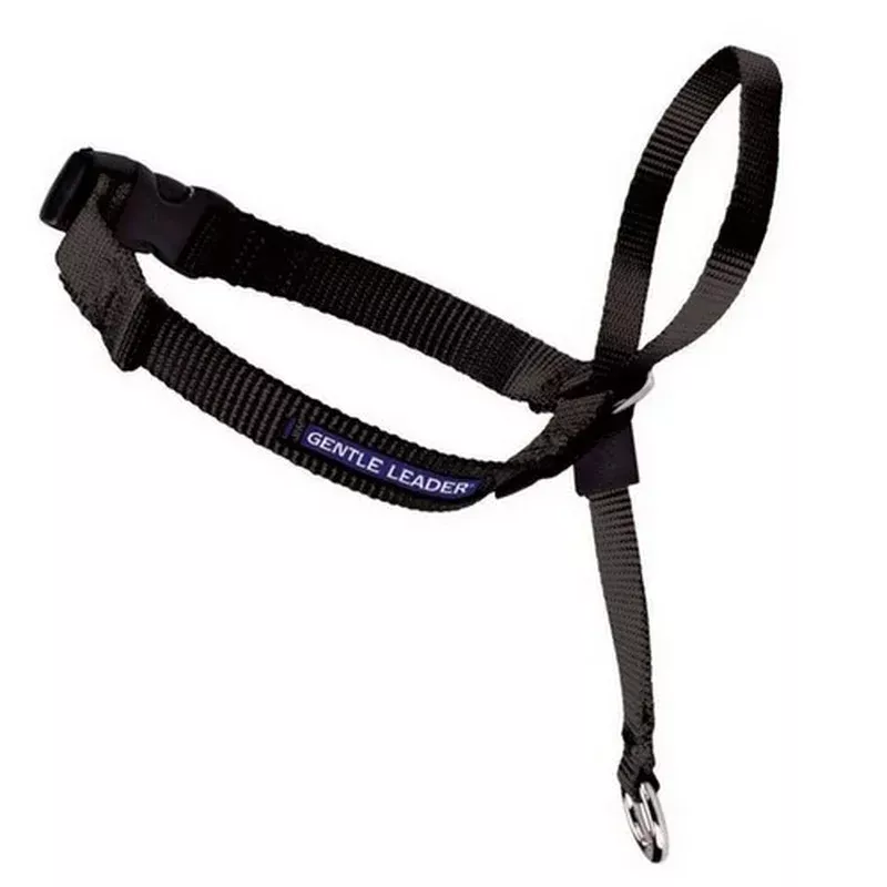 PetSafe, PetSafe Headcollar No-Pull Dog Collar, Black,ExtraLarge