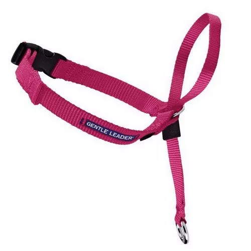 PetSafe, PetSafe Headcollar No-Pull Dog Collar, Raspberry,Medium