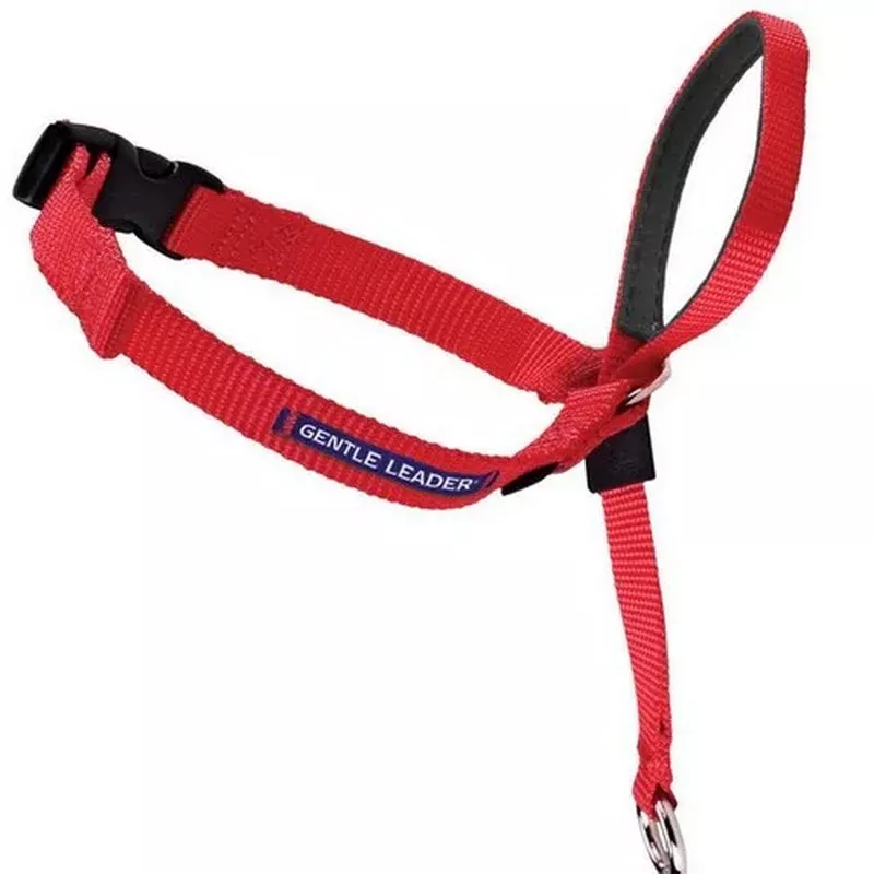 PetSafe, PetSafe Headcollar No-Pull Dog Collar, Red, 1 Each / Small
