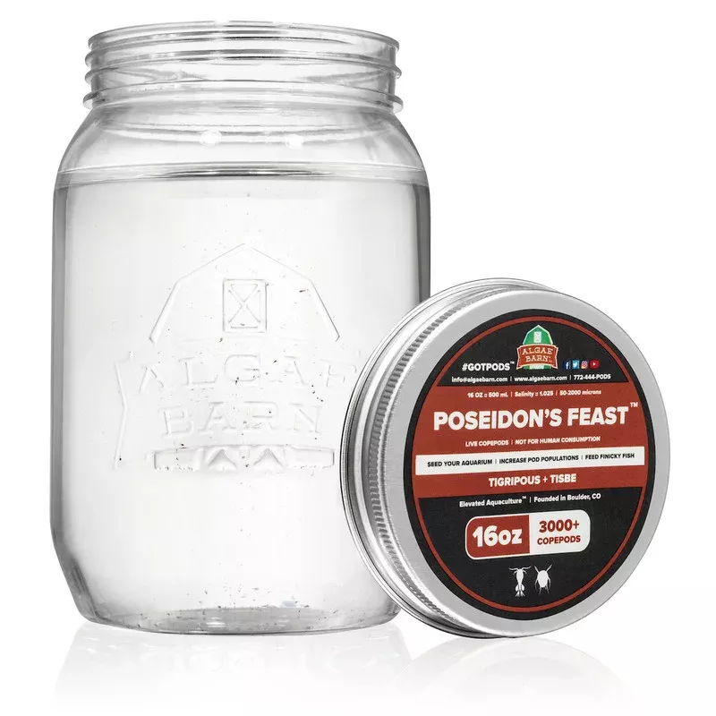 Poseidons Feast 12000+ (64 oz) Live Two Species Copepods Mix (Tig & Tisbee) – Algae Barn