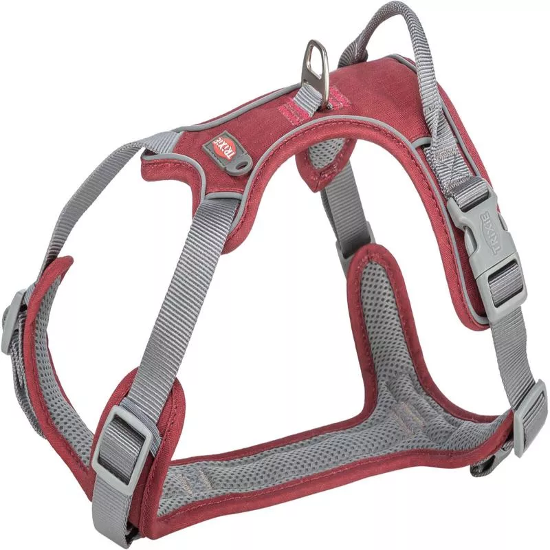Premium active harness, S: 3550 cm/15 mm, sangria