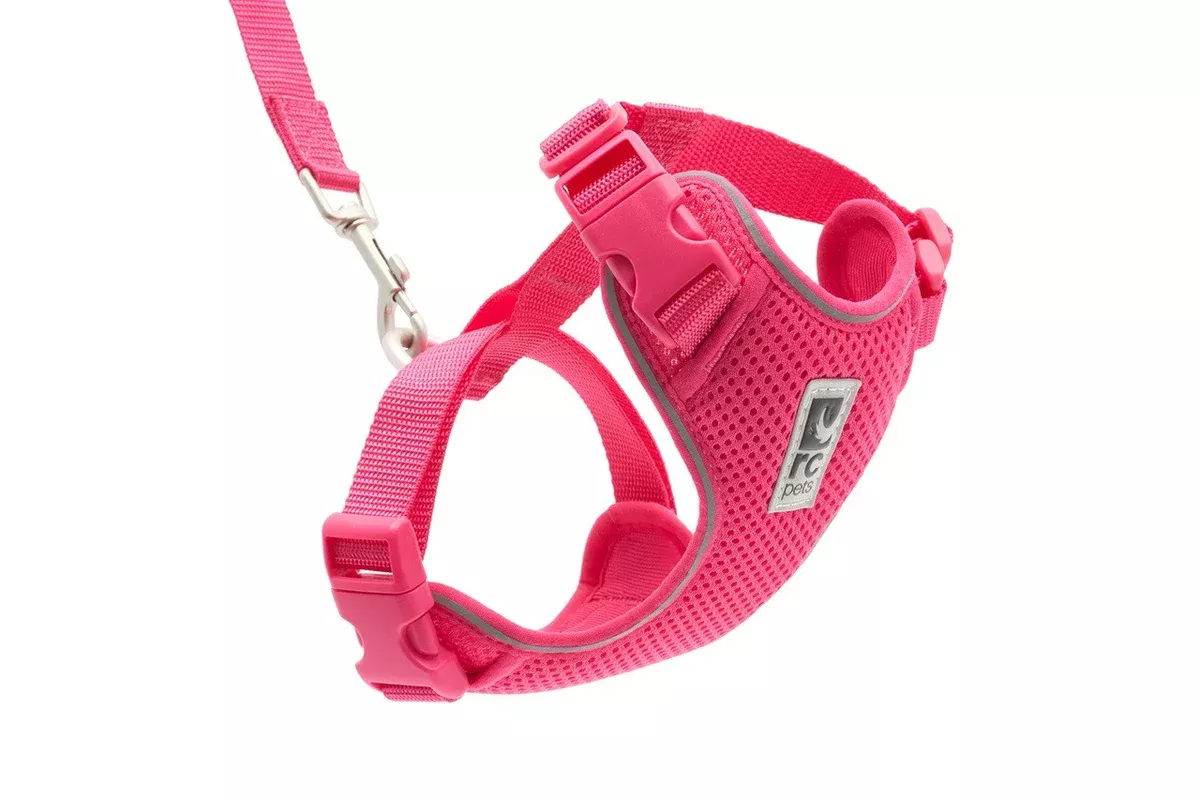 RC Pets Adventure Kitty Harness – Size Small – Azalea