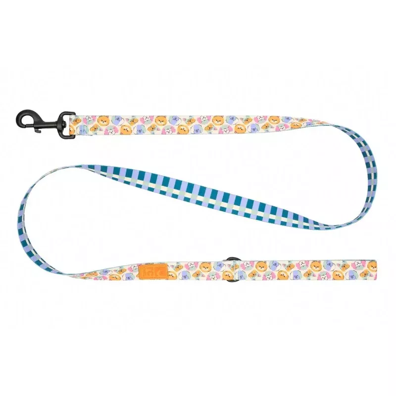 RC Pets Eco Dog Leash – 1″ x 5′ – Pup-Moji