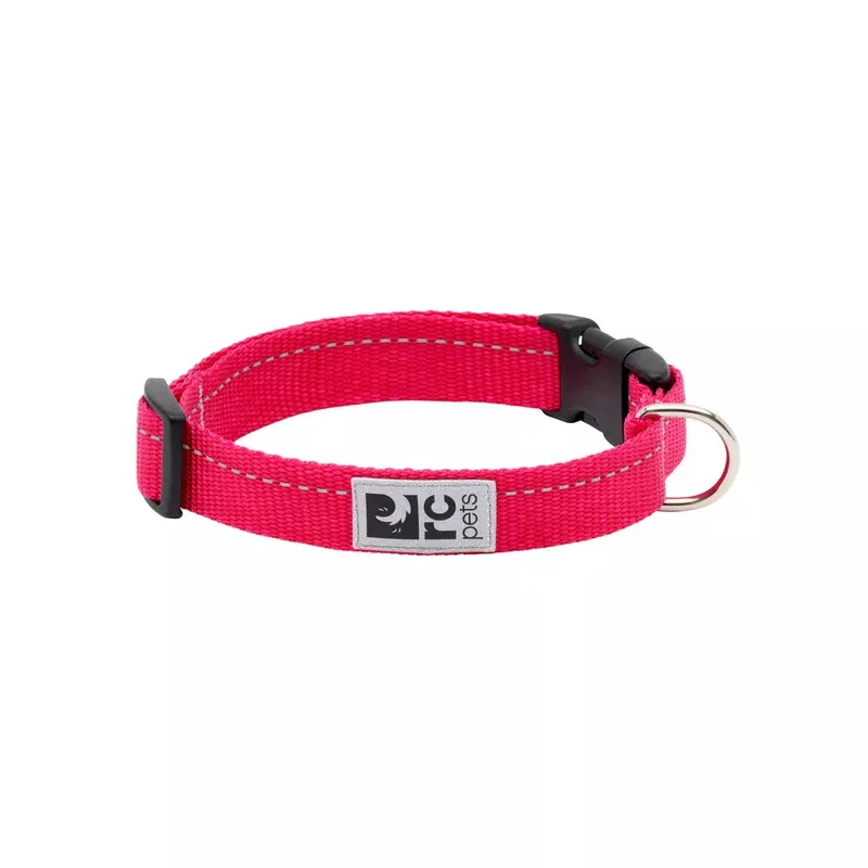 RC Pets Primary Dog Collar - S 3/4" - Azalea