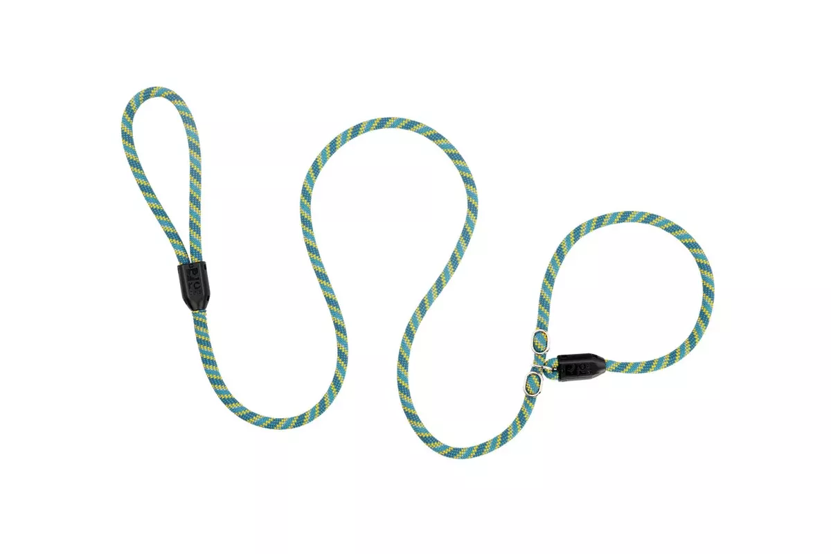 RC Pets Slip Rope Dog Leash - 1/2" x 5" - Teal