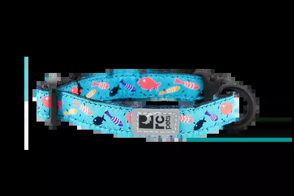 RC Pets Standard Dog Collar – L 1″ – Shoal