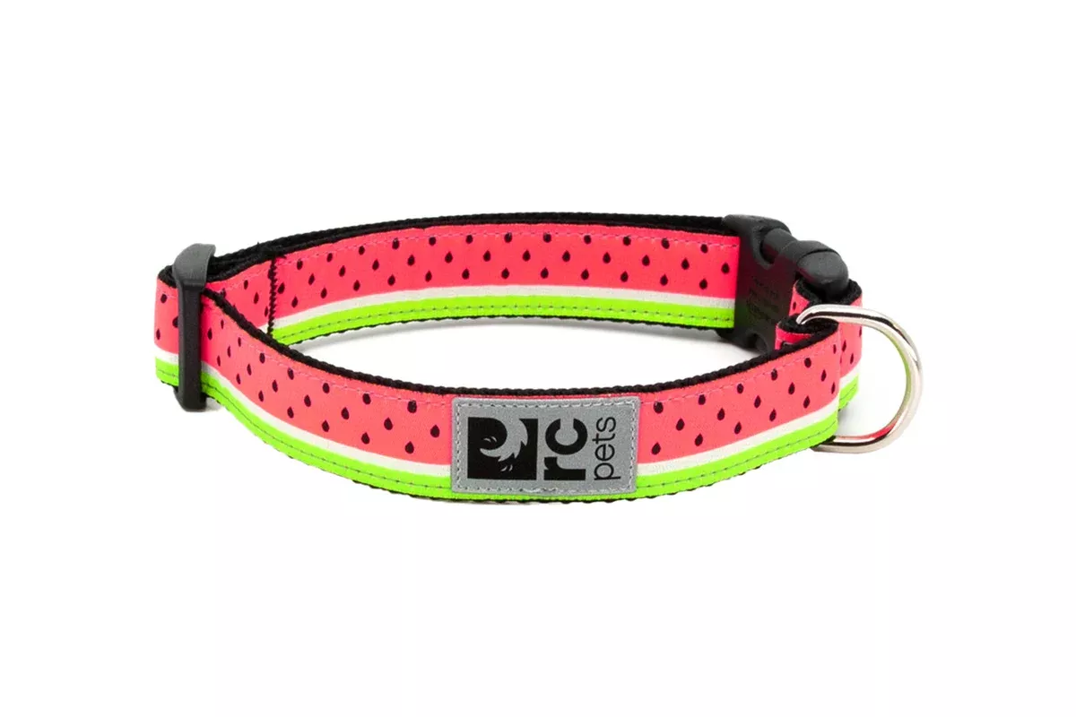 RC Pets Standard Dog Collar - L 1" - Watermelon