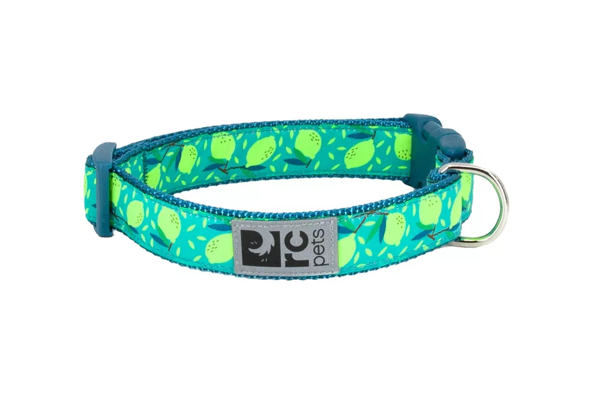 RC Pets Standard Dog Collar – M 1″ – Lemonade