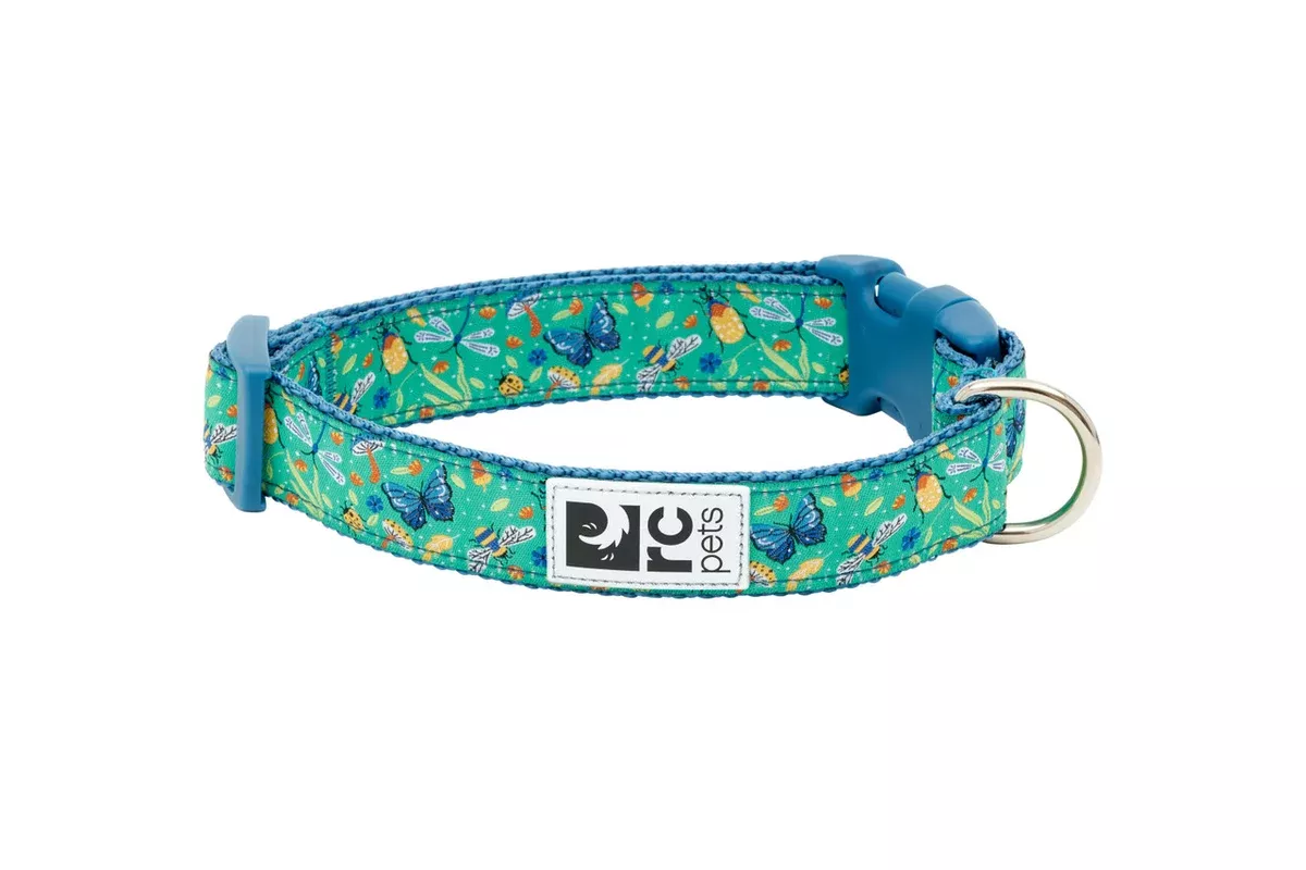 RC Pets Standard Dog Collar – S 3/4″ – Wonderland