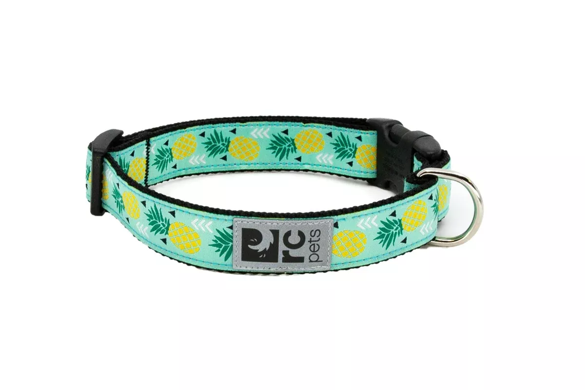 RC Pets Standard Dog Collar – XS 5/8″ – Pineapple Parade