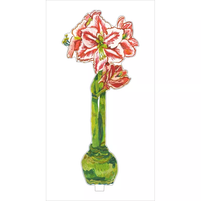 Red Star Amaryllis Acrylic Single Flower