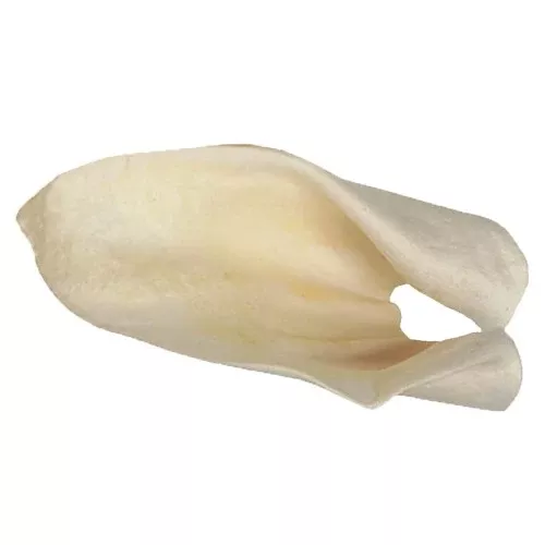 Redbarn Pet Products, Redbarn Pet Products Cow Ears Dog Chew, 1 Each/100 Count