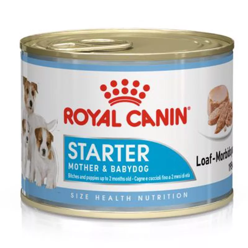 Royal Canin Starter mousse