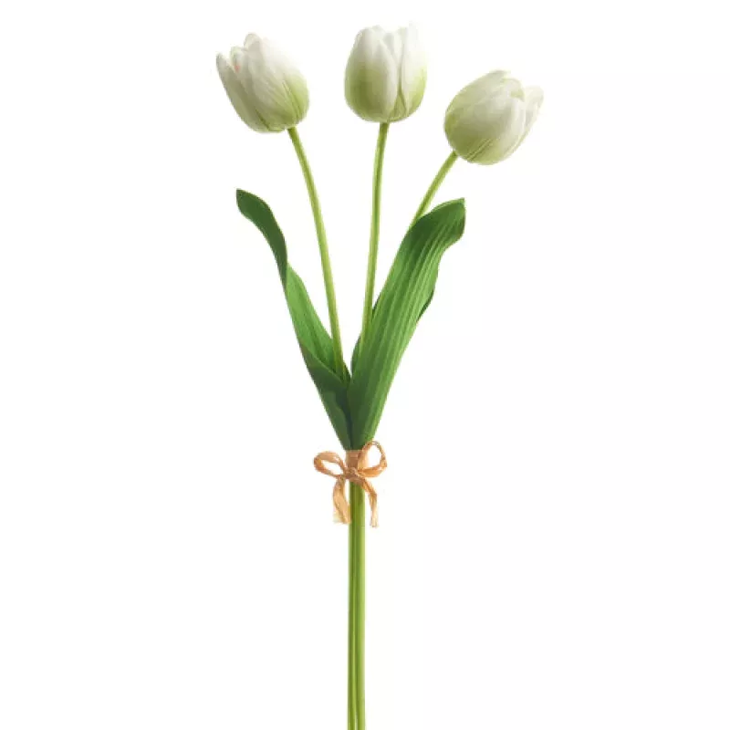 *SB* 20 Real Touch Light Green Tulip Bundle