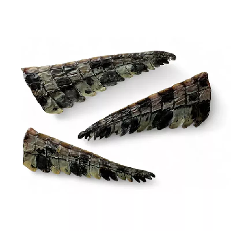 Scott & Dan’s Crocodile Tail Tips (S) 20-22cm 1pc