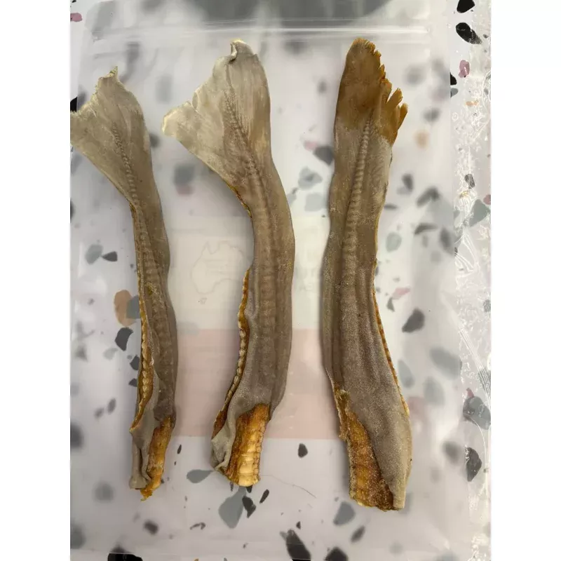 Scott & Dan’s Shark Cartilage Tail (S) 3pcs