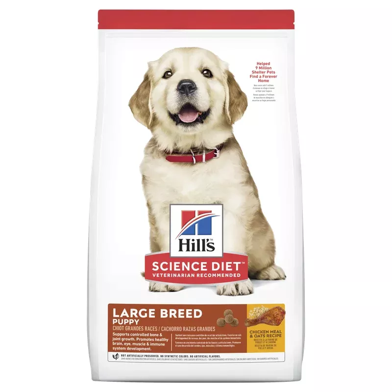 SDD Puppy Large Breed