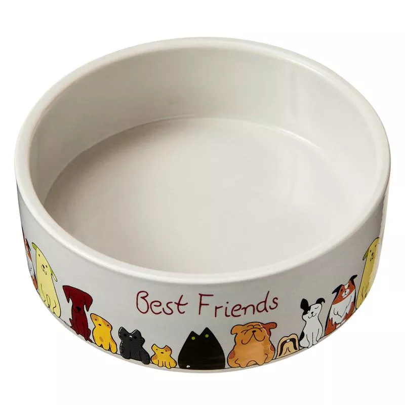 Spot Best Friends Dog Dish 5 in