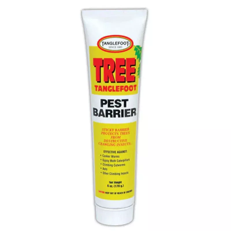 Tanglefoot Tree Tanglefoot Pest Barrier