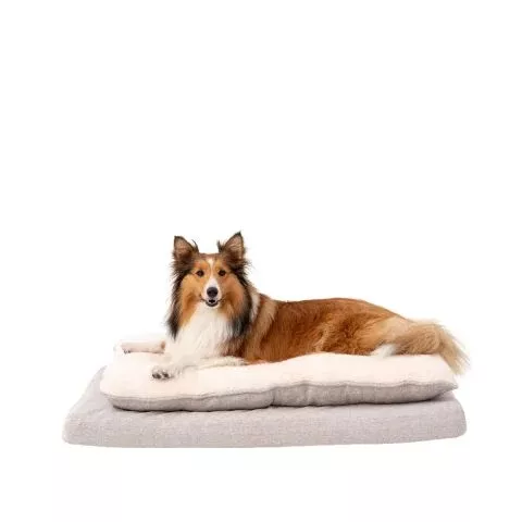Territory Orthopedic Pillow Top Dog Bed – 42 x 28 – Khaki