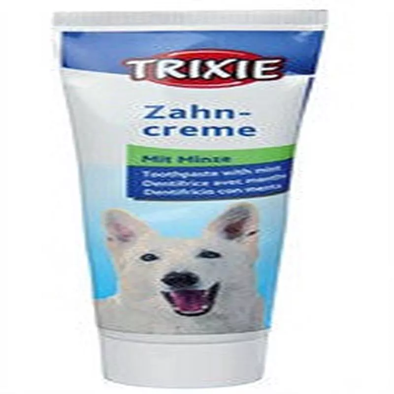 Toothpaste with Mint