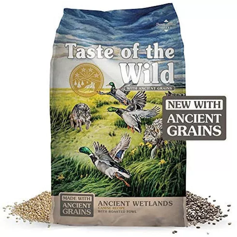 Tow Ancient Wetlands 14#