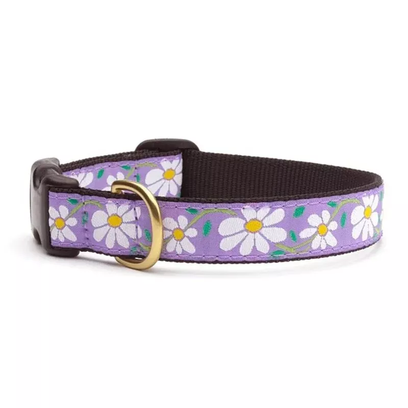 Up Country Daisy Collar XS Narrow