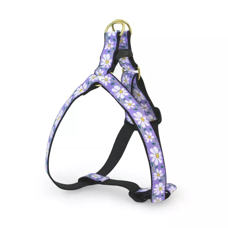 Up Country Daisy Harness XL
